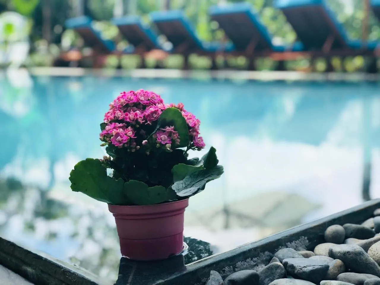 Hoi An Silverbell Villa